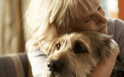 9 Things Never to Say to Someone Who’s Lost a Pet