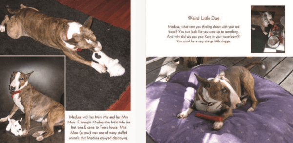 Create and print a book with images and stories about your dog. Above created through Costco’s photo site